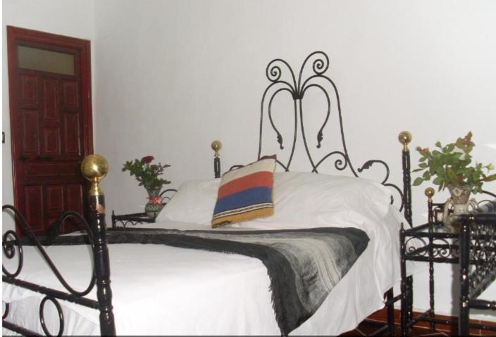 Hostel The Atlas Lion 丹吉尔 外观 照片